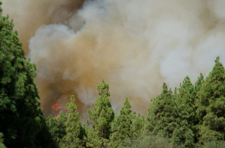 Incendi nella Gironda, Francia
