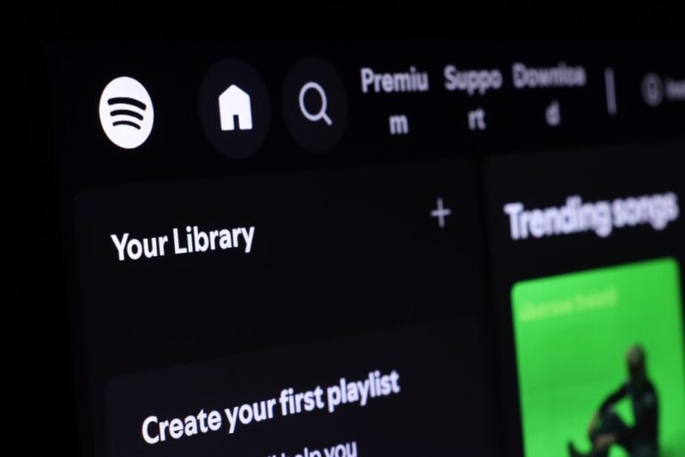 Grafica Spotify