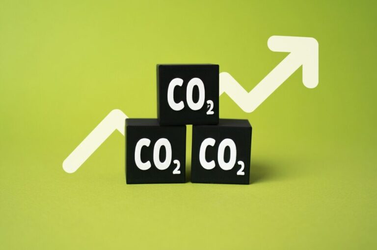 Grafico del prezzo delle quote di CO2